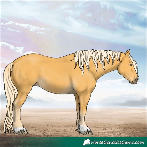 Horse Color:Palomino 