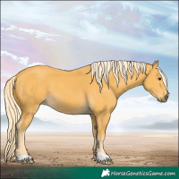Horse Color:Palomino 