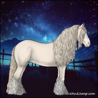 Horse Color:Perlino  and Perlino 