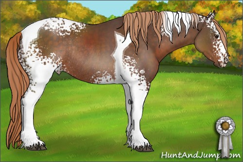 Horse Color:White Spotted Liver Chestnut Tobiano Rabicano 