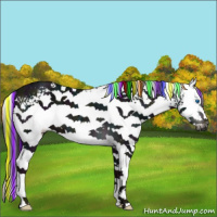 Horse Color:Gray Painted White Spotted Midnight Liver Chestnut Ice Splash 