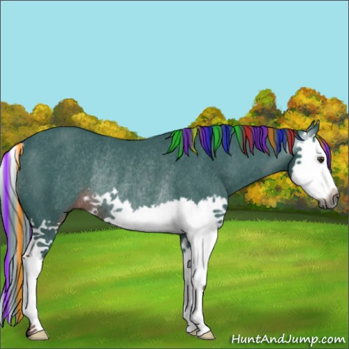 Horse Color:Gray Painted Watercolor Liver Chestnut Splash Rabicano