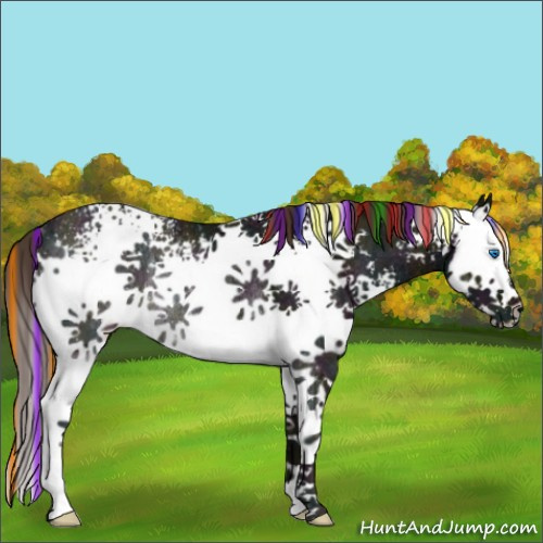Horse Color:Painted White Spotted Midnight Liver Chestnut Ice Splash Rabicano 
