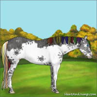 Horse Color:Painted Liver Chestnut Ice Splash 