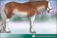 Horse Color:Silver Brown Splash