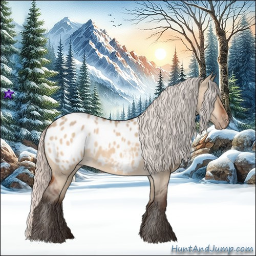 Horse Color:Silver Brown Dun Appaloosa