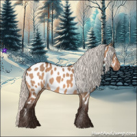 Horse Color:Silver Brown Dun Near Leopard 