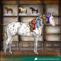 Horse Color:White Spotted Buckskin Appaloosa 