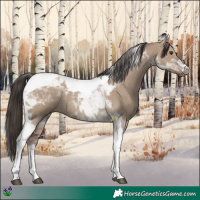 Horse Color:Liver Red Dun Tobiano 