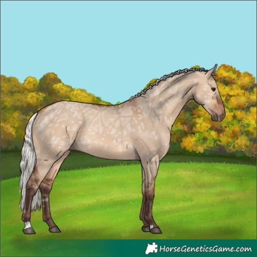 Horse Color:Silver Brown Ice Dun 