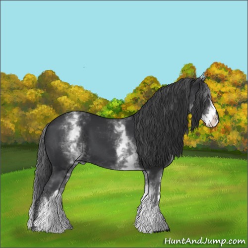 Horse Color:White Spotted Black 