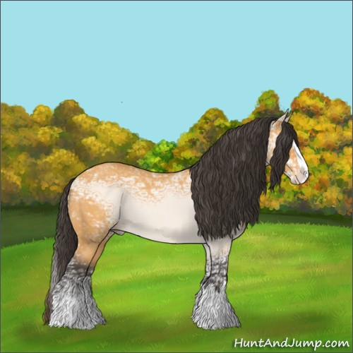Horse Color:Buckskin Ice Roan Splash 