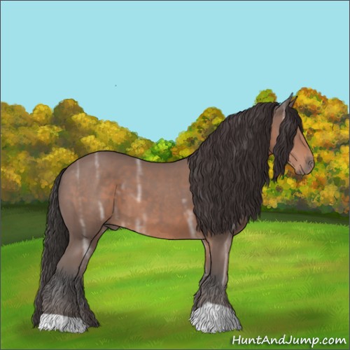 Horse Color:Bay Ice 