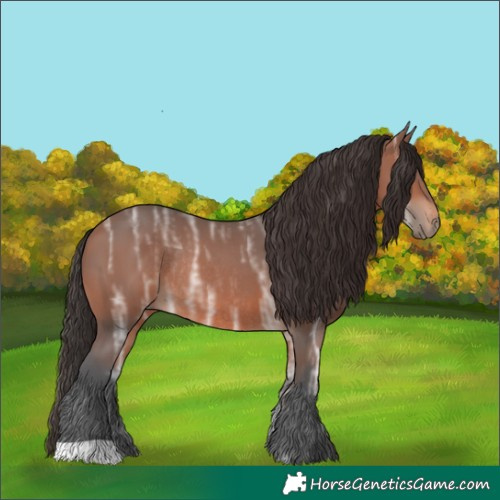 Horse Color:Bay Ice Rabicano 