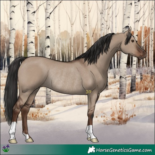 Horse Color:Liver Red Dun Rabicano 