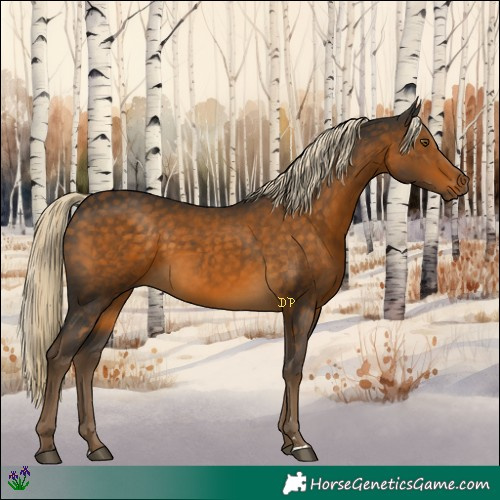 Horse Color:Chocolate Palomino 
