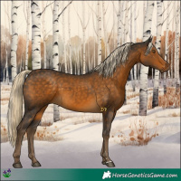 Horse Color:Chocolate Palomino 