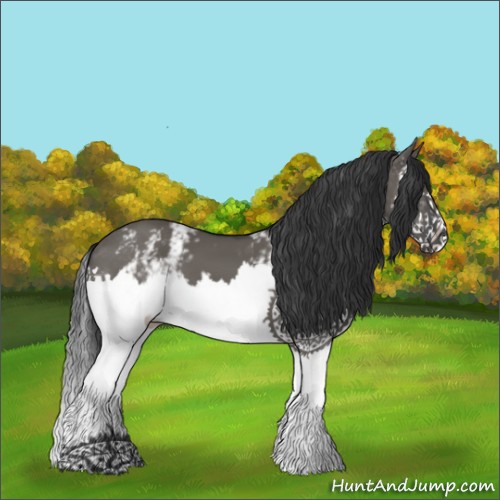 Horse Color:White Spotted Grullo Splash 