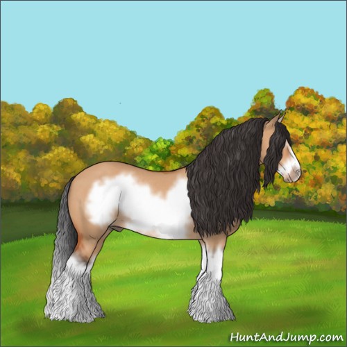 Horse Color:Bay Dun Sabino Splash Frame Rabicano 