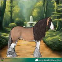 Horse Color:Bay Dun Splash 