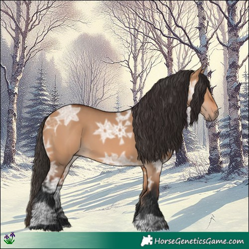 Horse Color:Bay Ice Dun 