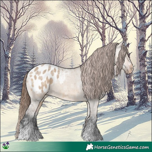 Horse Color:Bay Ice Dun Appaloosa 