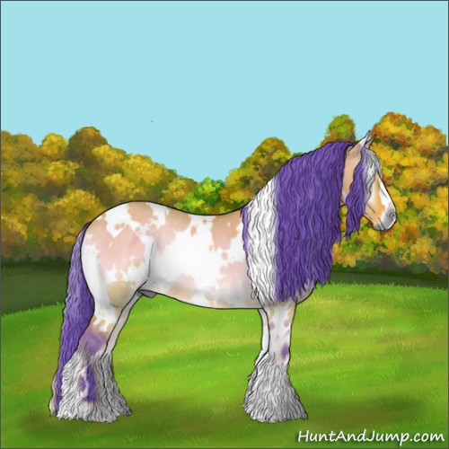 Horse Color:Watercolor White Spotted Bay Onyx Rabicano 
