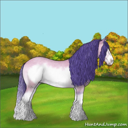 Horse Color:Watercolor White Spotted Buckskin Roan Onyx Splash Frame 