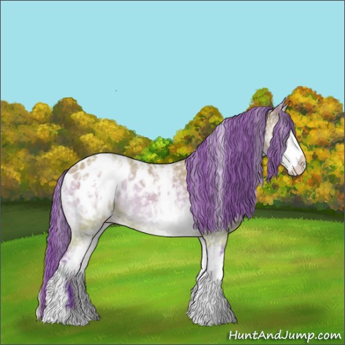 Horse Color:Watercolor White Spotted Buckskin Onyx Blanket Rabicano 