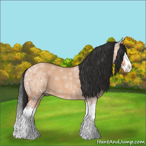 Horse Color:Bay Ice Roan Dun Splash 