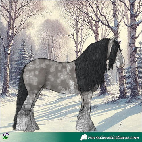 Horse Color:Grullo Ice Sabino Rabicano 