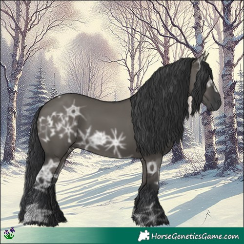 Horse Color:Grullo Ice Rabicano