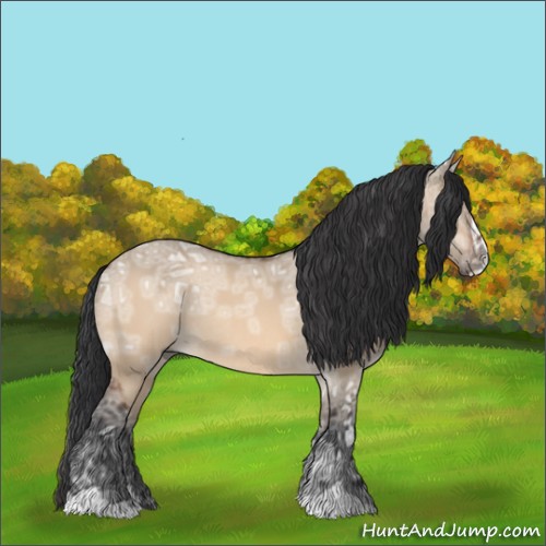 Horse Color:Brown Ice Dun Sabino Rabicano 
