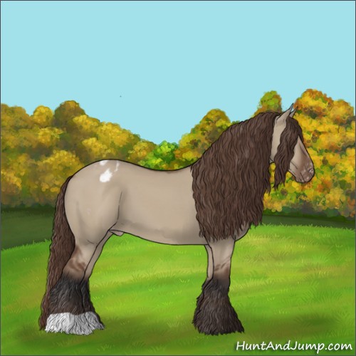 Horse Color:Bay Dun Appaloosa 