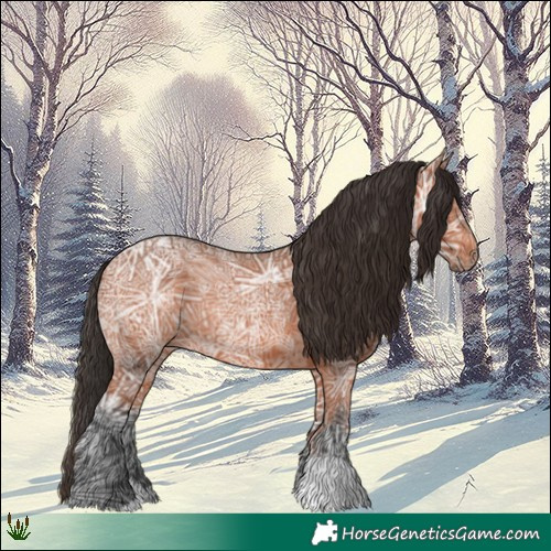Horse Color:Bay Ice 