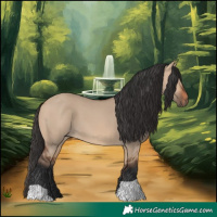 Horse Color:Bay Dun 