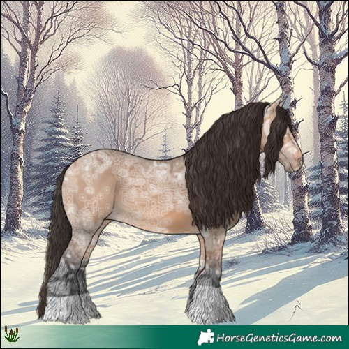 Horse Color:Bay Ice Dun