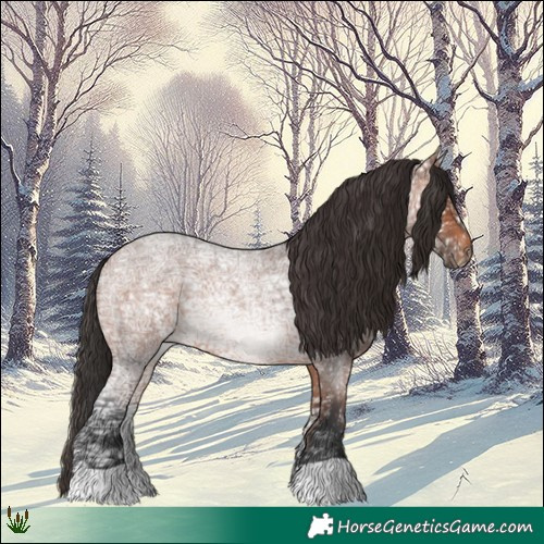 Horse Color:Bay Ice Roan 