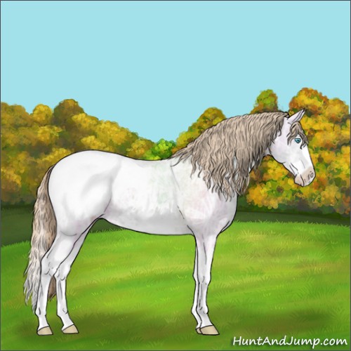 Horse Color:Smoky Creme Ice Dun Splash Appaloosa 