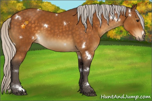 Horse Color:White Spotted Silver Buckskin 