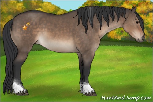 Horse Color:Brown Dun Tobiano 