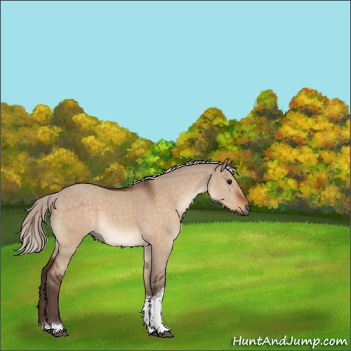 Horse Color:Silver Bay Dun Tobiano