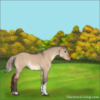 Horse Color:Silver Bay Dun Tobiano 