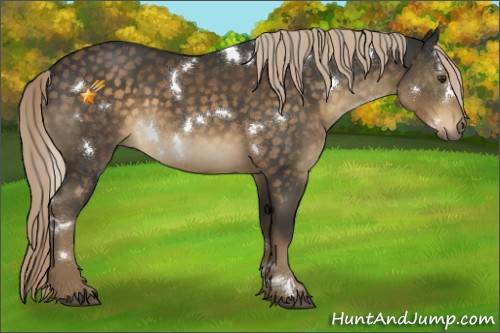 Horse Color:White Spotted Chocolate Palomino