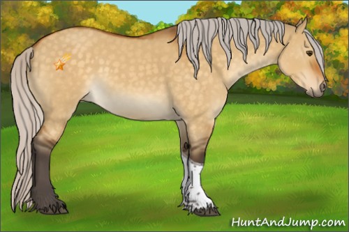 Horse Color:Silver Buckskin Dun Tobiano 