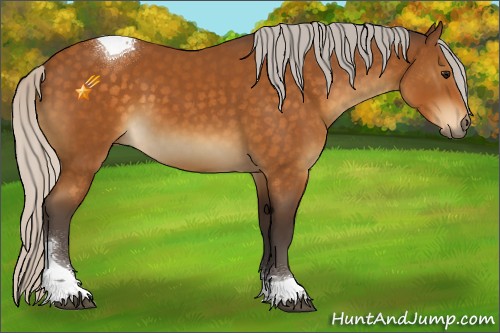 Horse Color:Silver Buckskin Tobiano 
