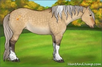 Horse Color:Silver Buckskin Dun Tobiano 