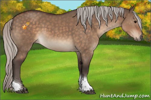 Horse Color:Silver Brown Dun Tobiano 