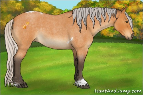 Horse Color:Silver Buckskin Roan Tobiano