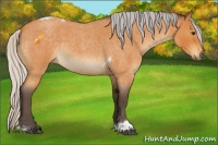 Horse Color:Silver Buckskin Roan Tobiano 